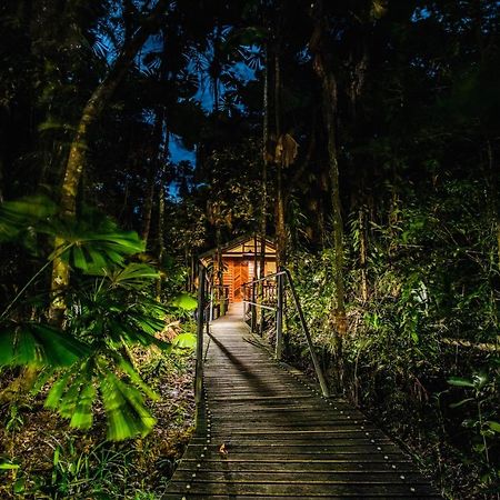 Daintree Wilderness Lodge Buitenkant foto