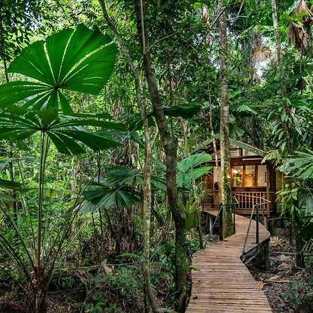 Daintree Wilderness Lodge Buitenkant foto