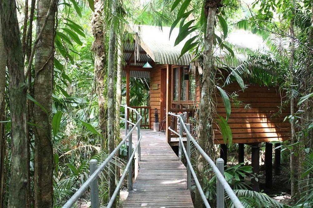 Daintree Wilderness Lodge Buitenkant foto