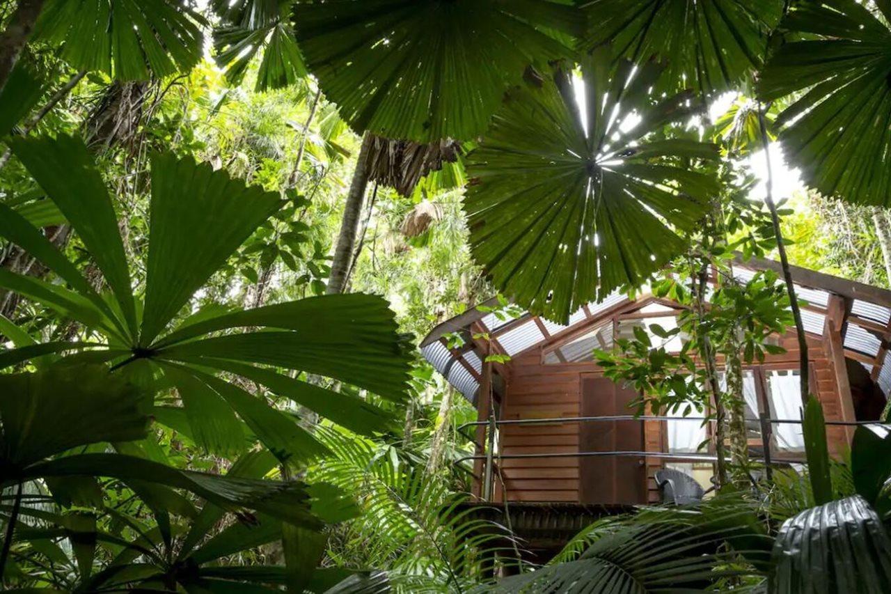 Daintree Wilderness Lodge Buitenkant foto