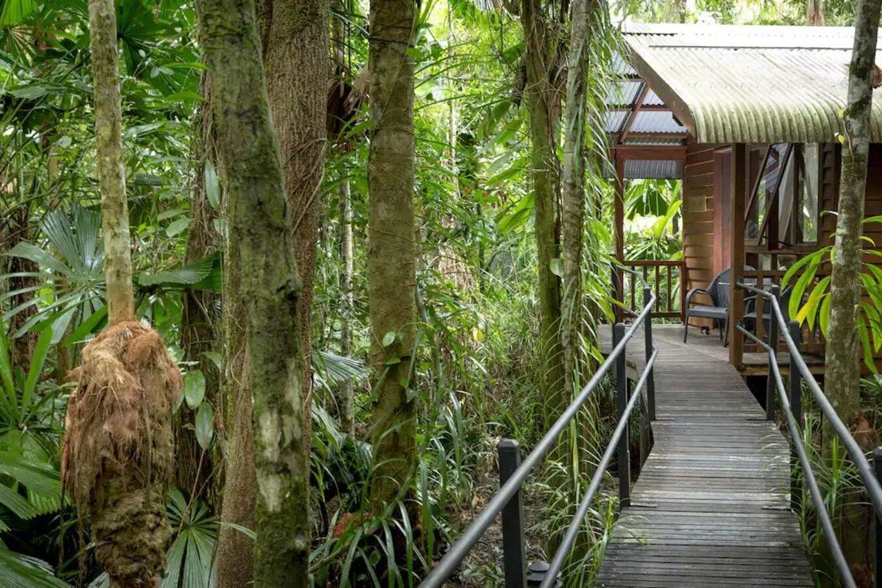 Daintree Wilderness Lodge Buitenkant foto