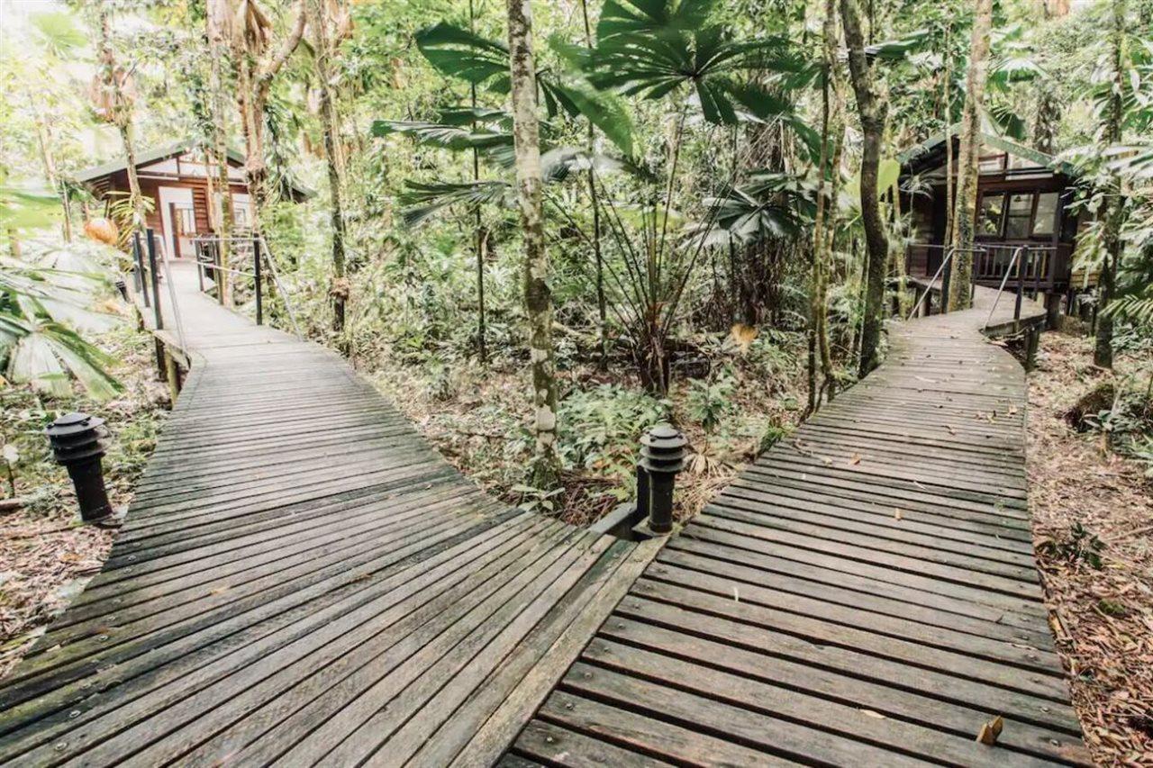 Daintree Wilderness Lodge Buitenkant foto