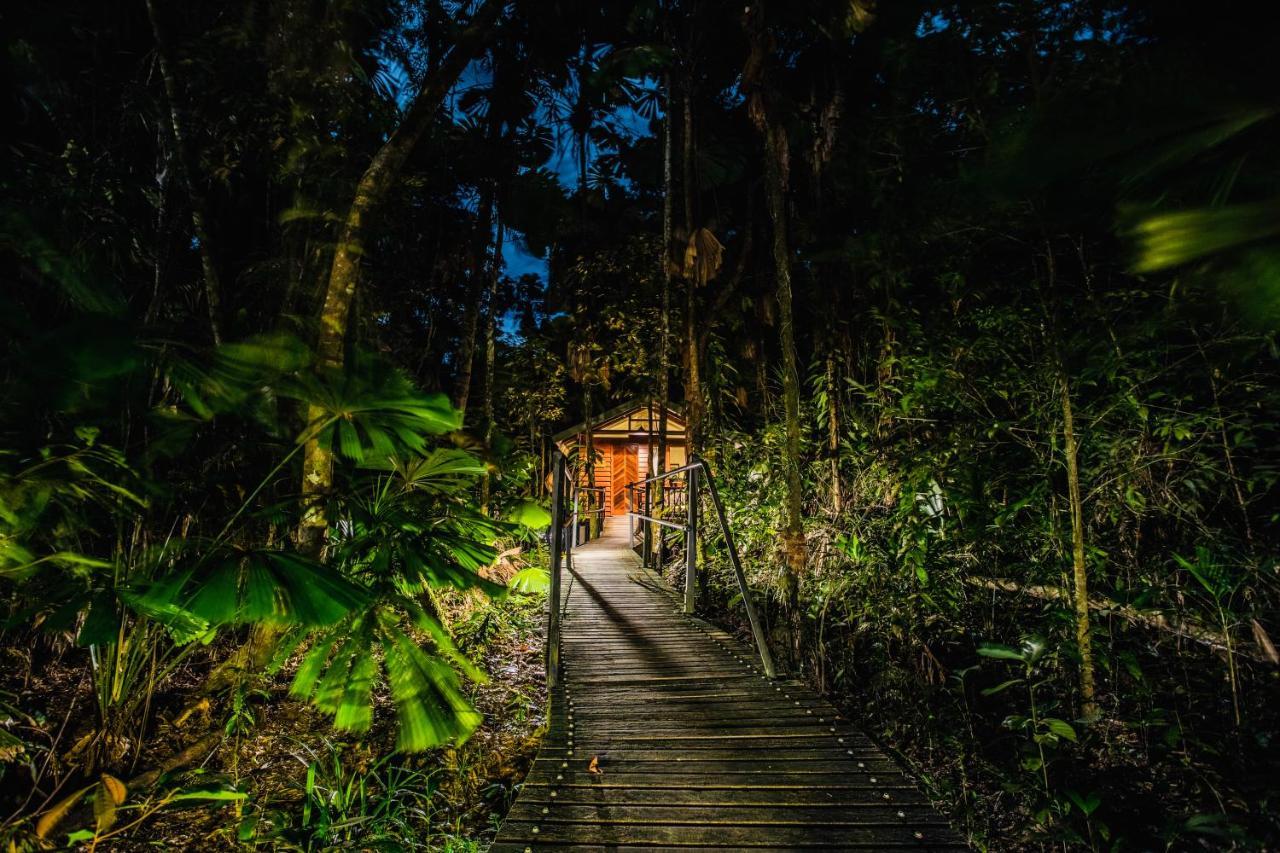 Daintree Wilderness Lodge Buitenkant foto