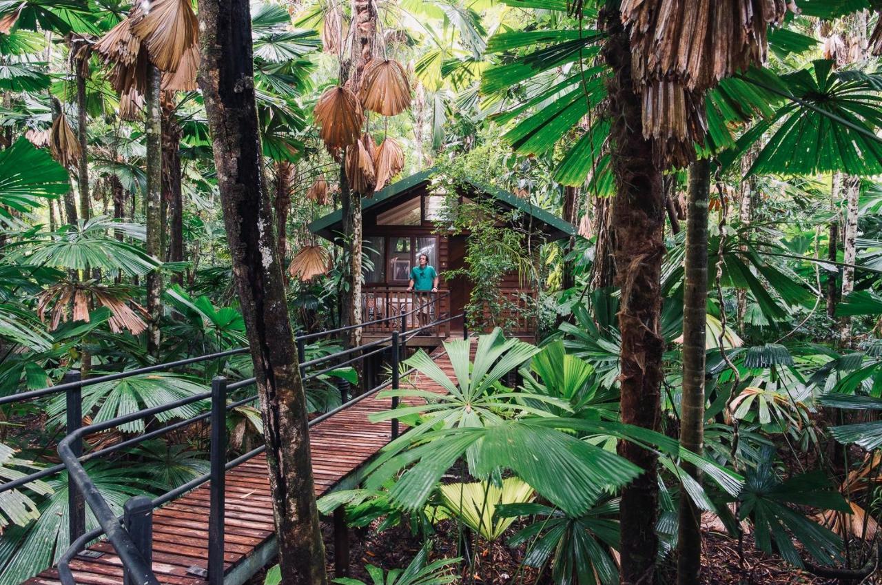 Daintree Wilderness Lodge Buitenkant foto