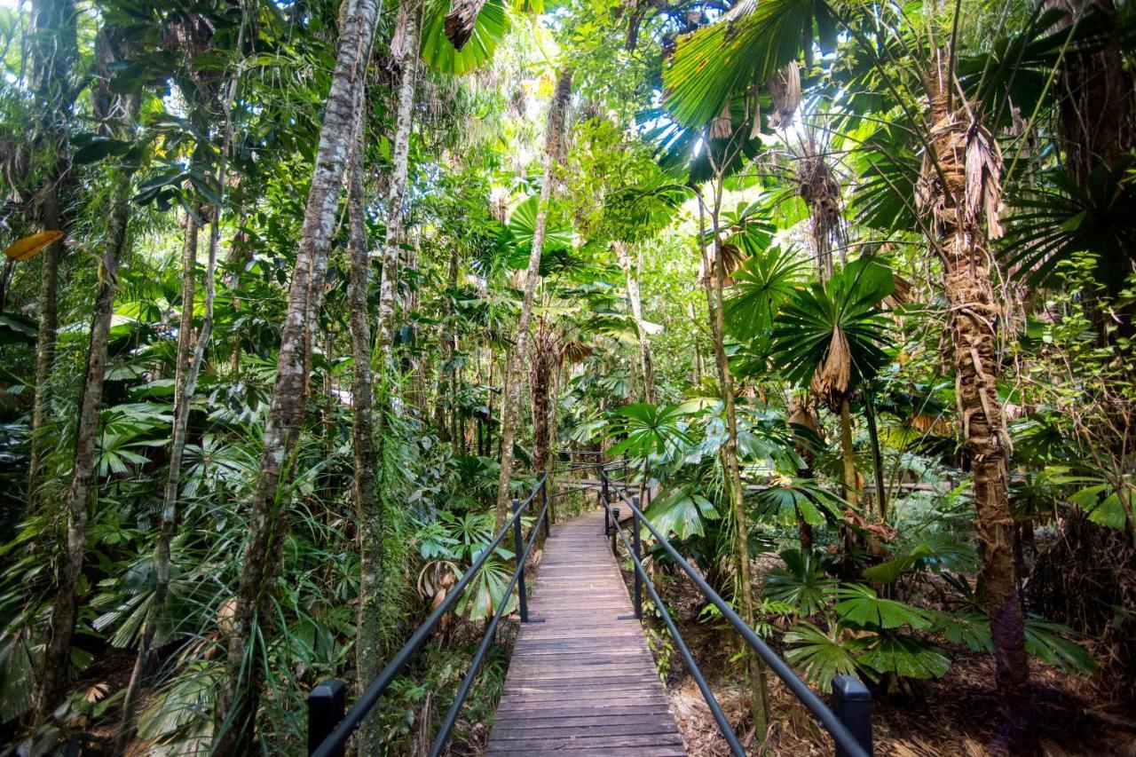 Daintree Wilderness Lodge Buitenkant foto