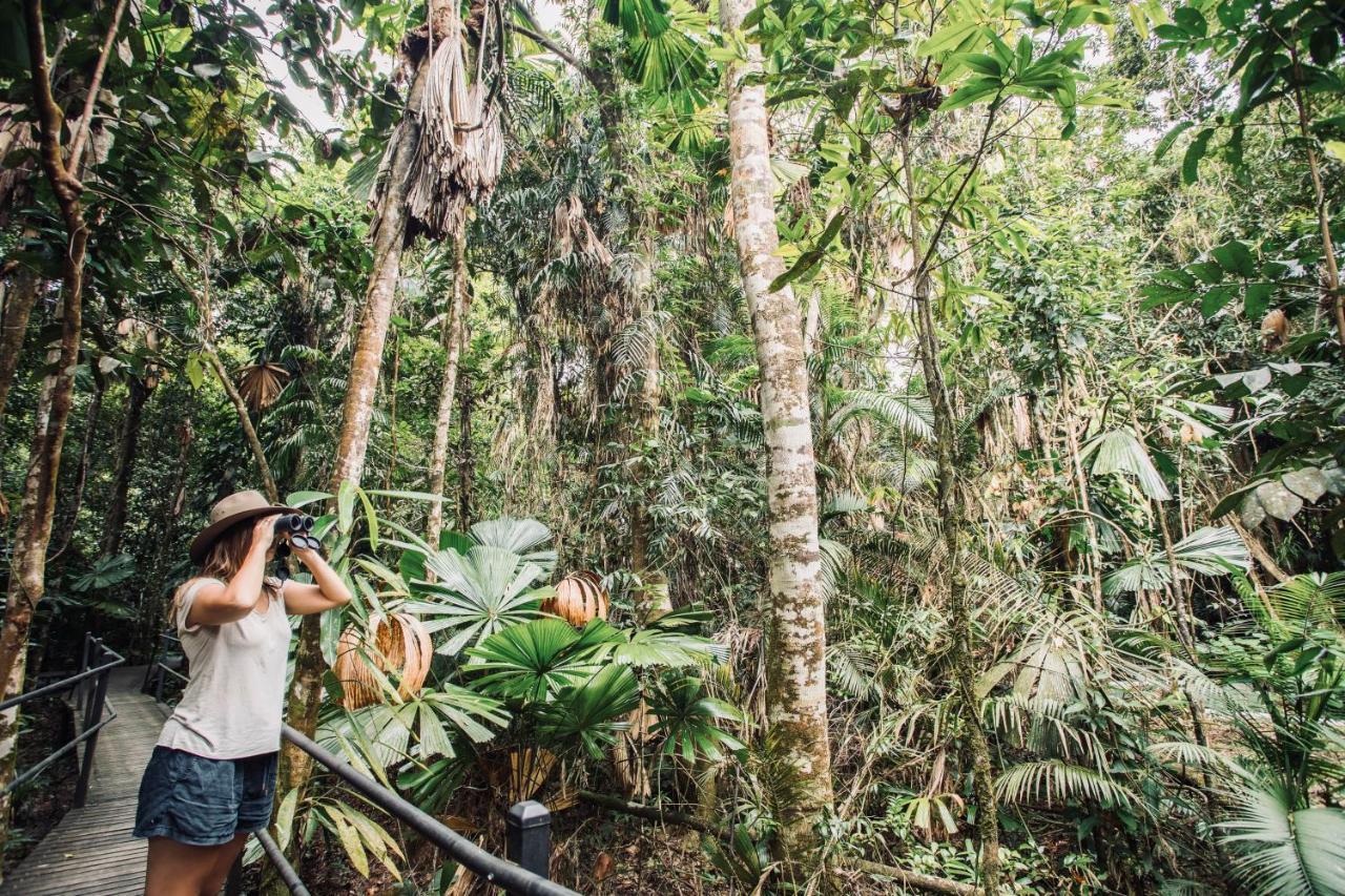 Daintree Wilderness Lodge Buitenkant foto