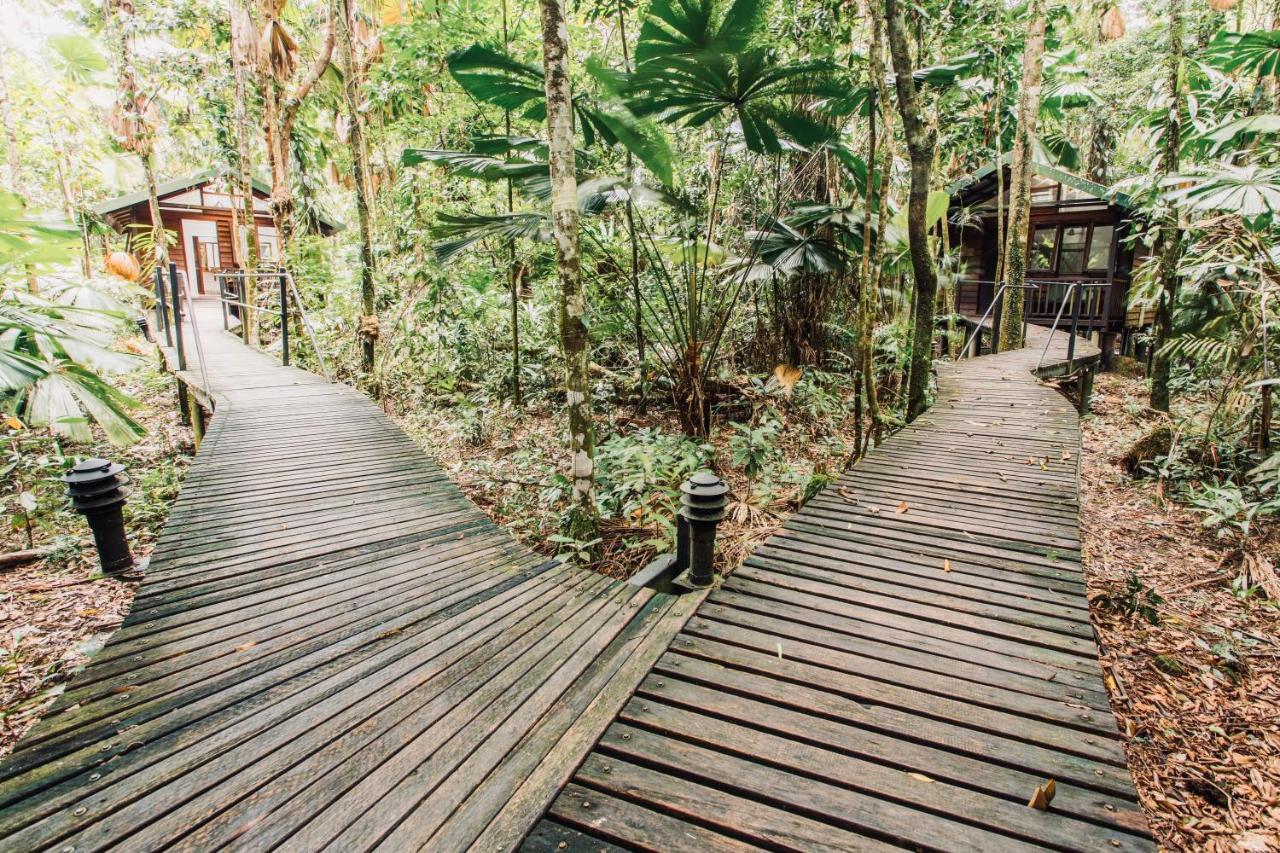 Daintree Wilderness Lodge Buitenkant foto