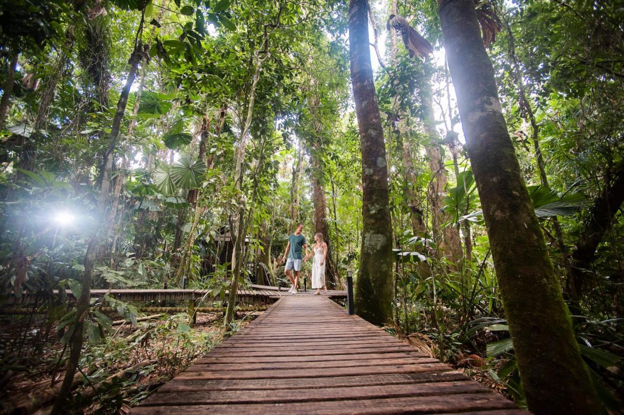 Daintree Wilderness Lodge Buitenkant foto