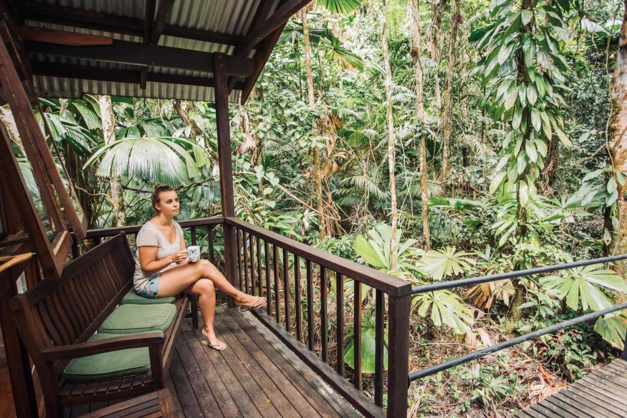 Daintree Wilderness Lodge Buitenkant foto
