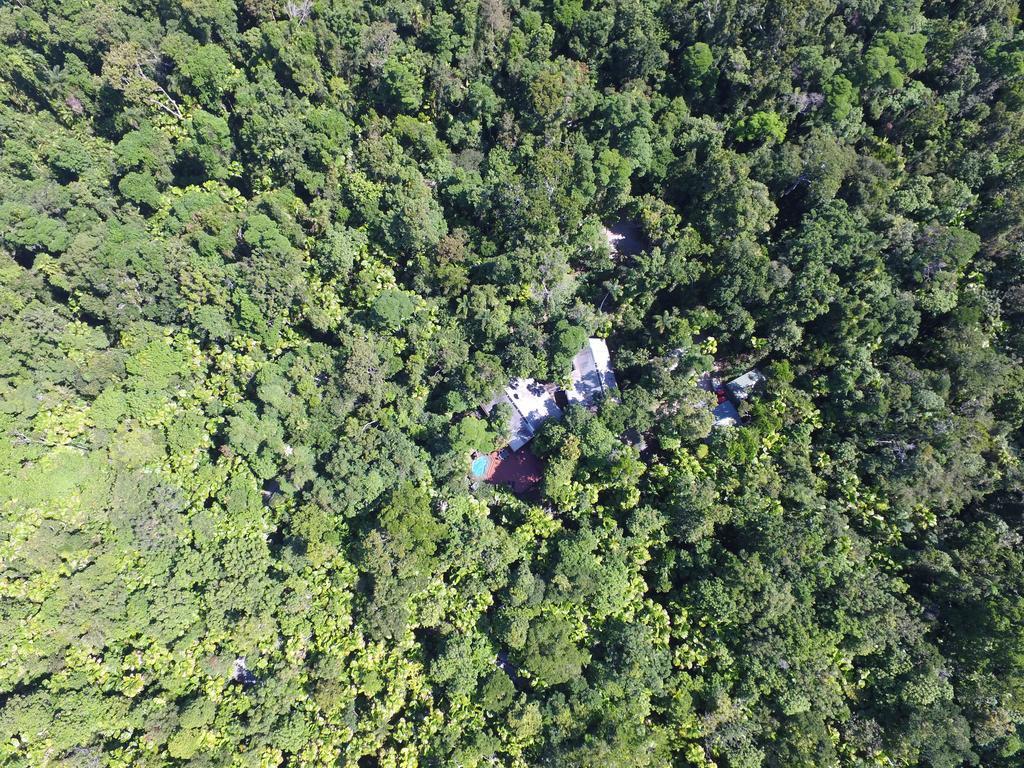 Daintree Wilderness Lodge Buitenkant foto