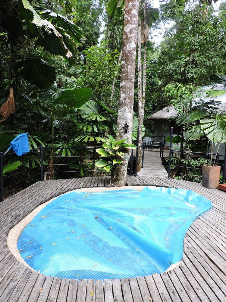 Daintree Wilderness Lodge Buitenkant foto