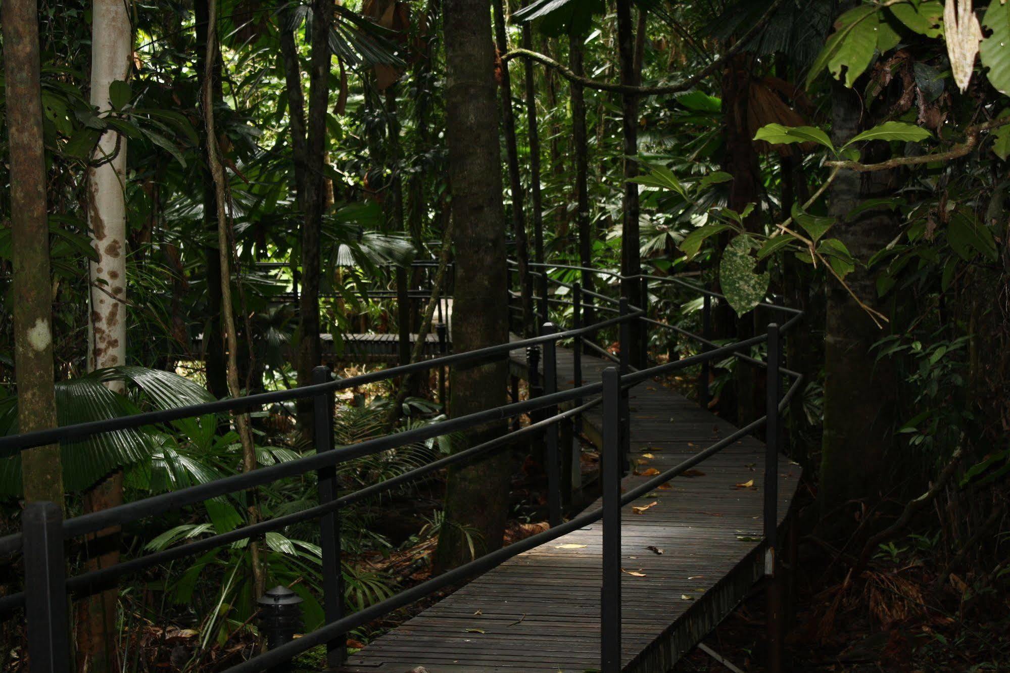 Daintree Wilderness Lodge Buitenkant foto