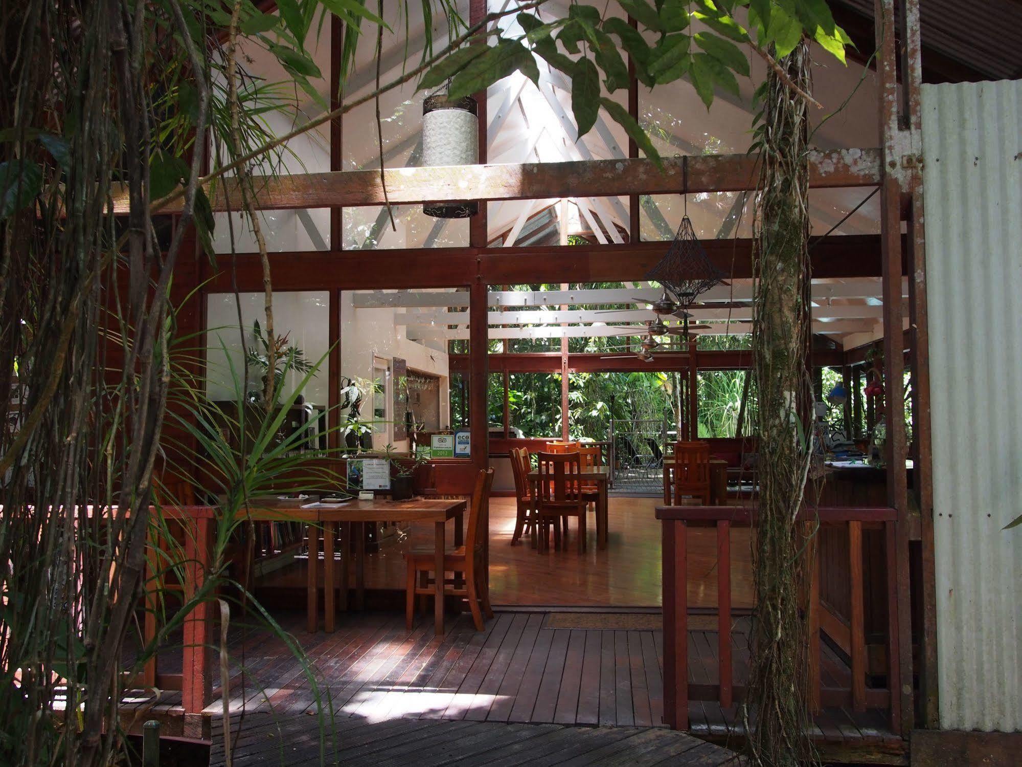 Daintree Wilderness Lodge Buitenkant foto