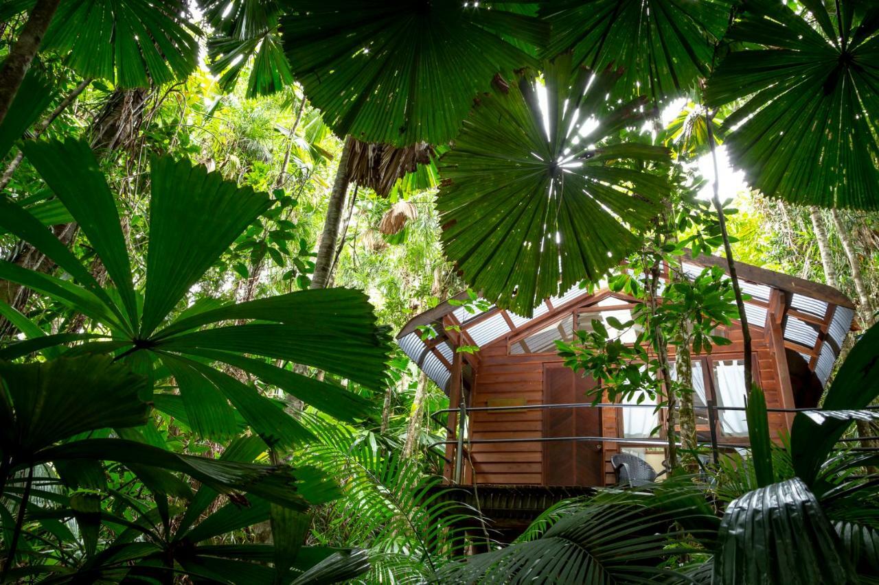 Daintree Wilderness Lodge Buitenkant foto